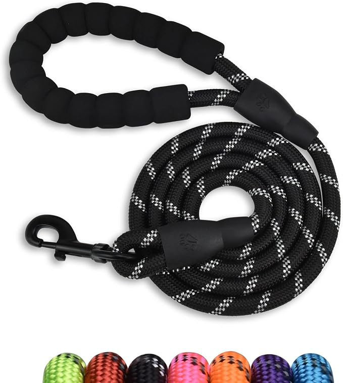 dog leash