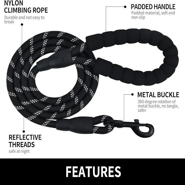 dog leash