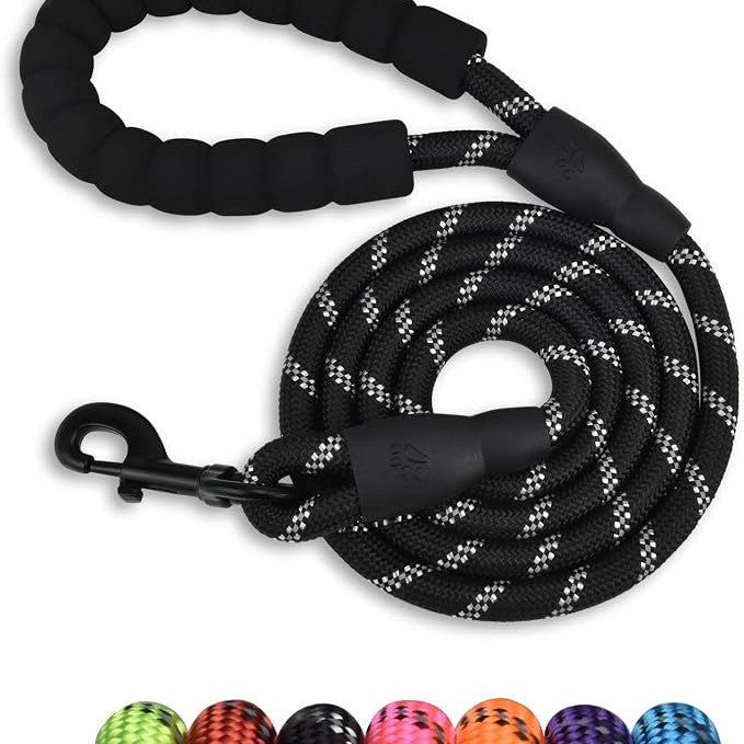 dog leash