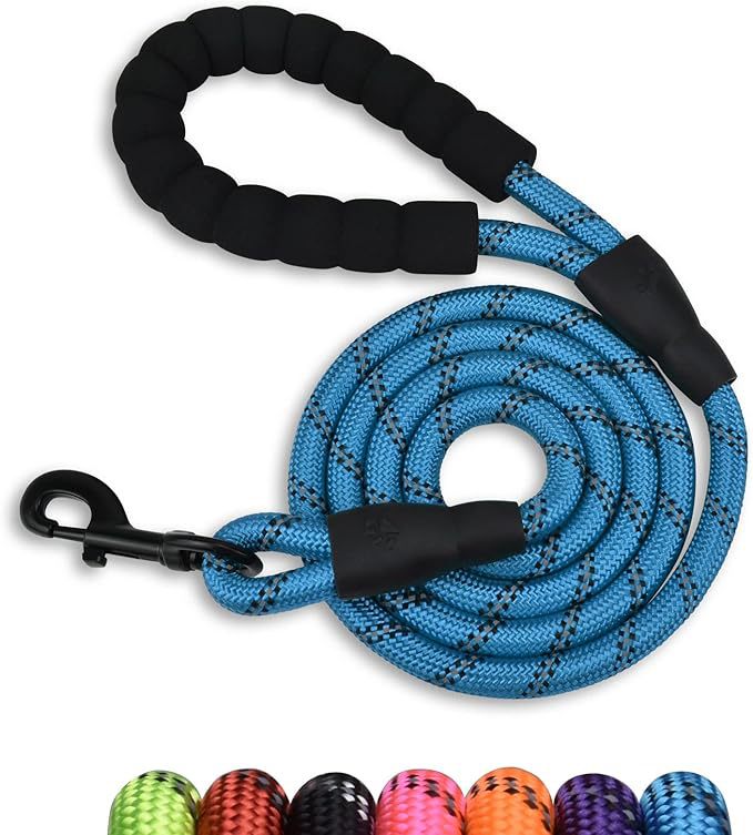 dog leash