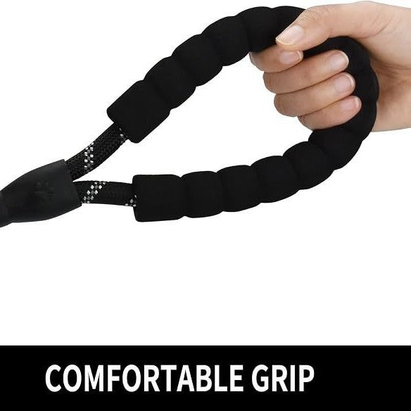 dog leash