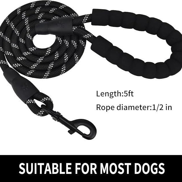 dog leash